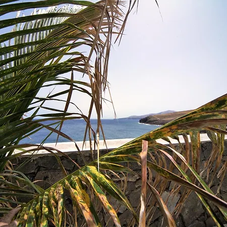 فيلة Teranga
